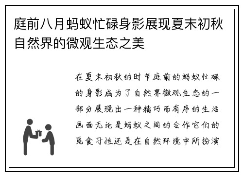 庭前八月蚂蚁忙碌身影展现夏末初秋自然界的微观生态之美